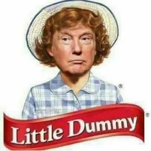 Meet your Posher, Abdull